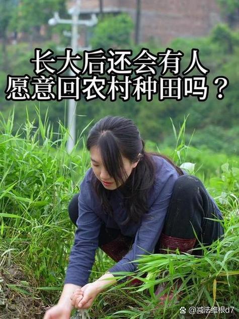 深入分析《返回农村2》：绅士游戏中的乡村情怀与玩家体验