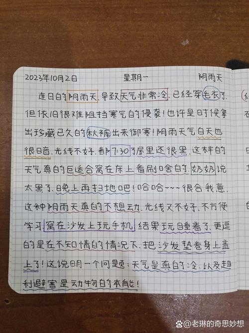 家庭迷恋更新日志实用教程：如何高效管理和应用更新内容