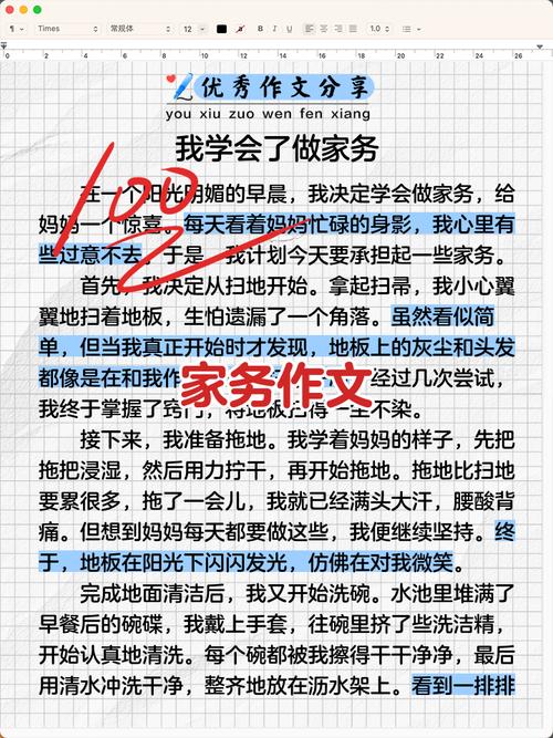 深度解析《家务》官方正式版：全新体验及下载指南