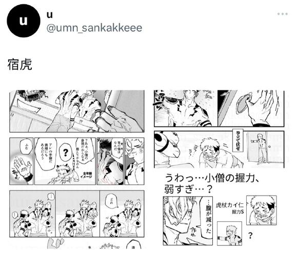 深入探讨 rinapo 安卓汉化的现状与未来