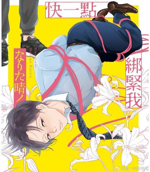 光樱闪姫普利塞游戏攻略：新手必读的实用教程