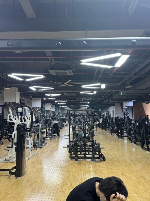 禁欲健身中心最新版本的深度分析与未来展望