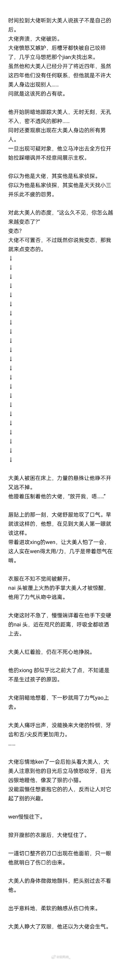 成长之物更新日志：深度分析与未来展望