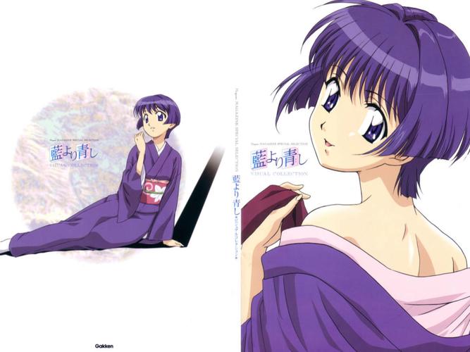 大和抚子汉化版下载详细教程