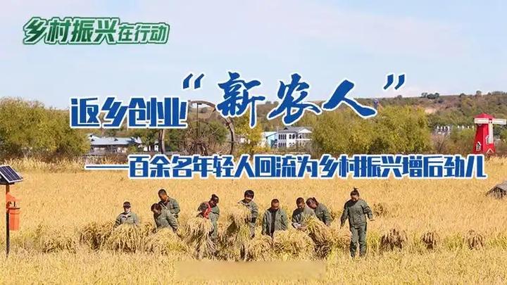 回到农村在哪下载：深度解析与实用建议