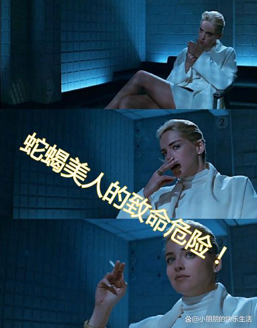 本能释放版本大全：深度解析与实用指南