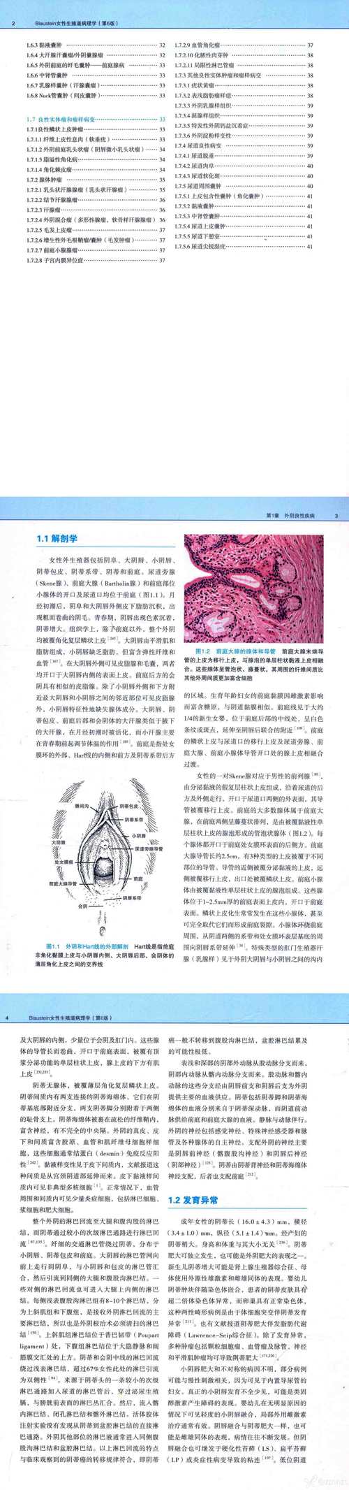 生殖活动学院最新：解析游戏机制与玩家心理的深度结合