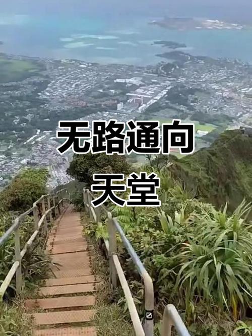 探索《通往天堂的道路》：下载地址及深度分析