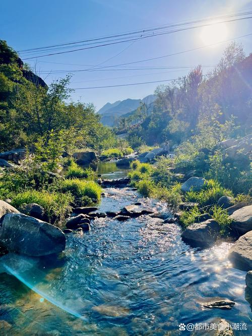 精灵谷最新版本操作指南：新手必看教程