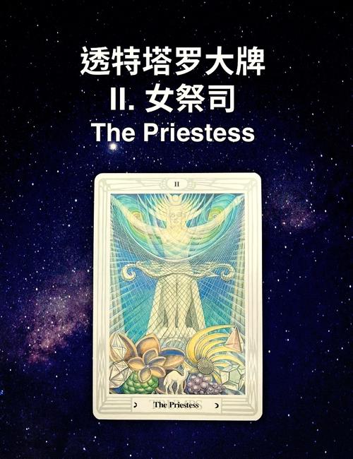 探索“女祭司”游戏下载渠道的深度分析