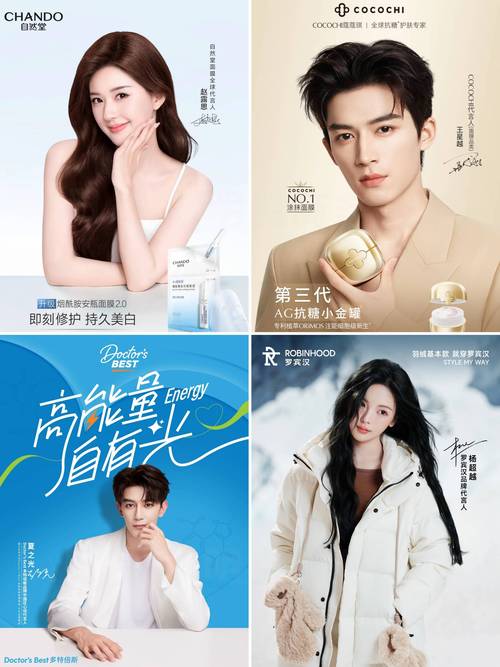 明星代言人官方正式版下载最新版的市场分析与前景探讨