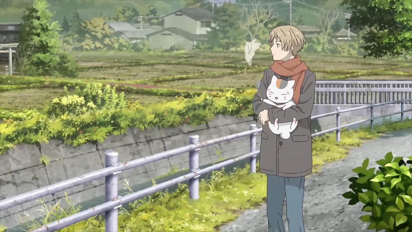 夏目友人帐更新日志操作指南