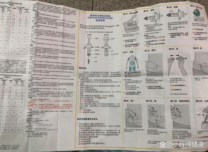 林昔予最新版本使用教程：从安装到高级技巧全攻略