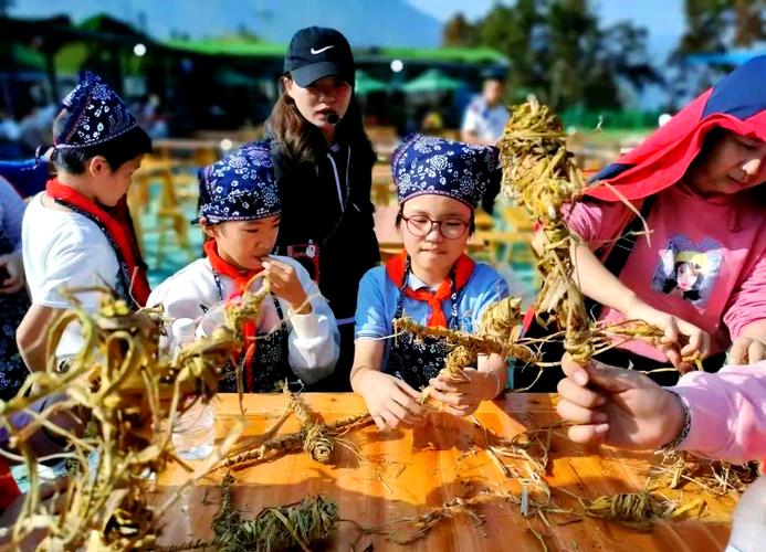 探索“农民的追求”游戏背后的设计哲学与玩家体验