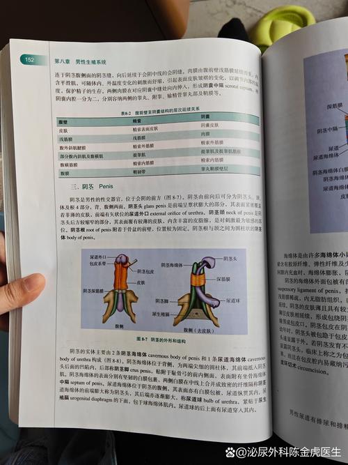 深度解析生殖活动学院：下载地址与游戏体验的全面分析