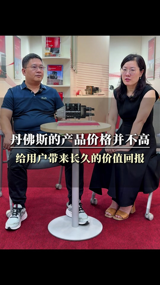 深度解析：丹弗斯女士游戏攻略及其魅力