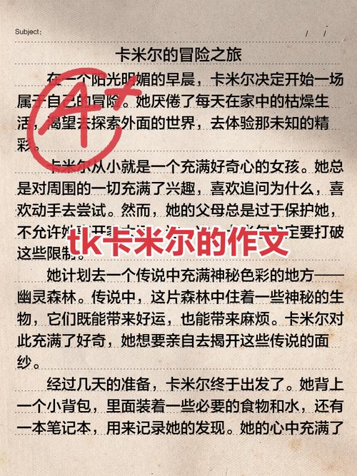 深入探讨《诺莉卡的案件官网》的游戏设计与玩家体验