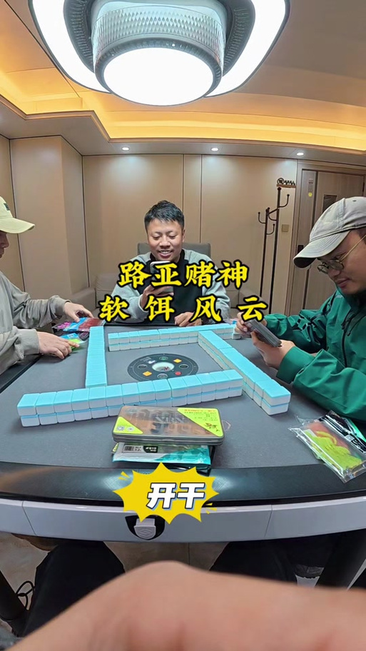 如何有效使用赌神模拟器官网进行游戏设置和攻略