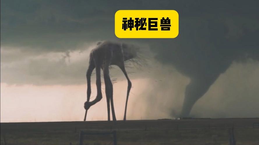 捕获未知生物：下载渠道与游戏体验深度解析