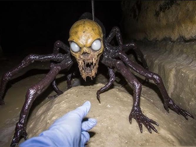 捕获未知生物：下载渠道与游戏体验深度解析