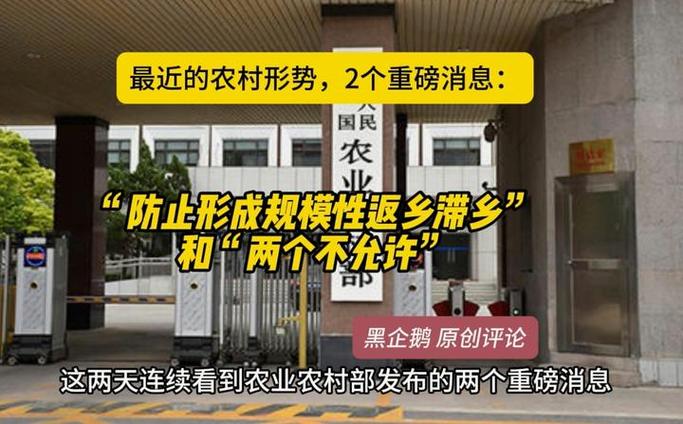 深入分析《返回农村2》：绅士游戏中的乡村情怀与玩家体验