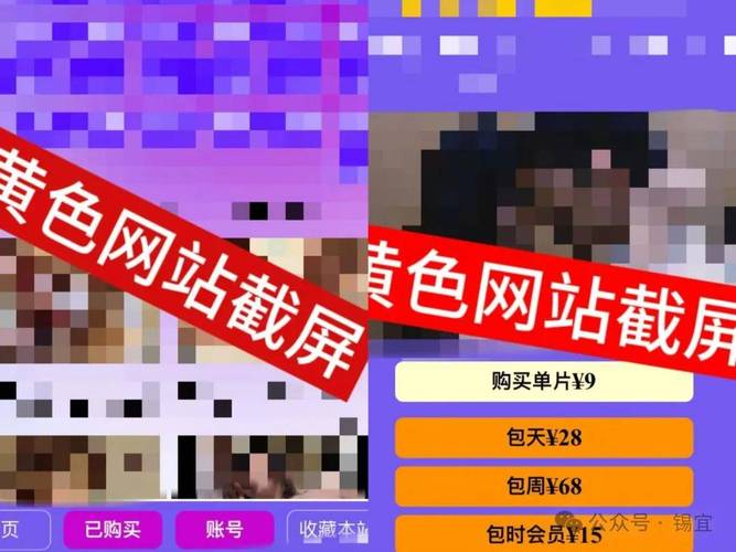 激情之风官方网站使用指南：快速入门与技巧分享