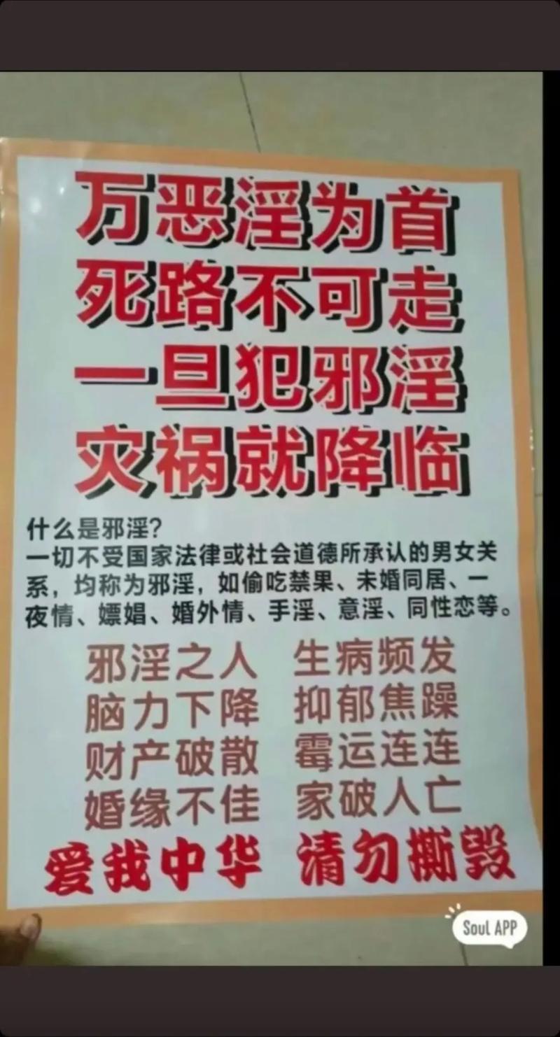 深入探索《淫荡的灵魂》游戏的魅力与机制