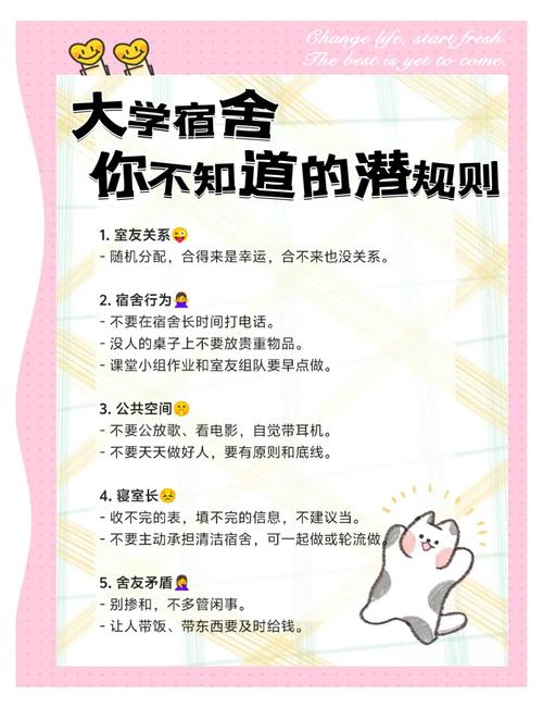 如何与室友建立良好的相处关系：实用教程