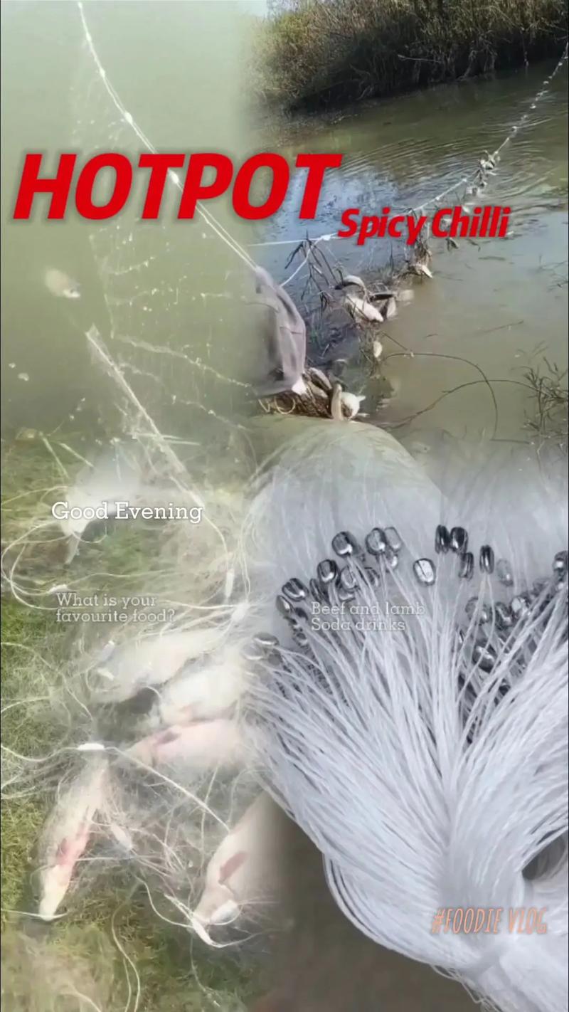 渔网亡灵最新动态：技术进步与市场前景的深度分析