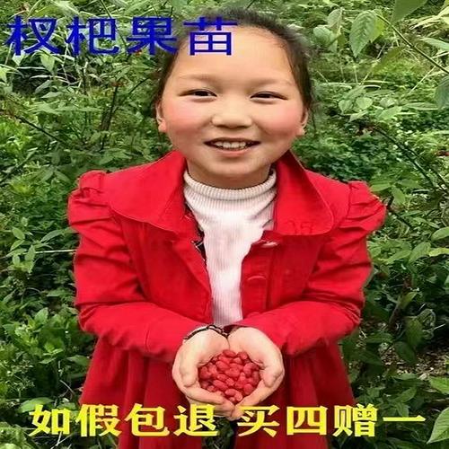 爱相思更新日志操作指南：新手必看完整教程