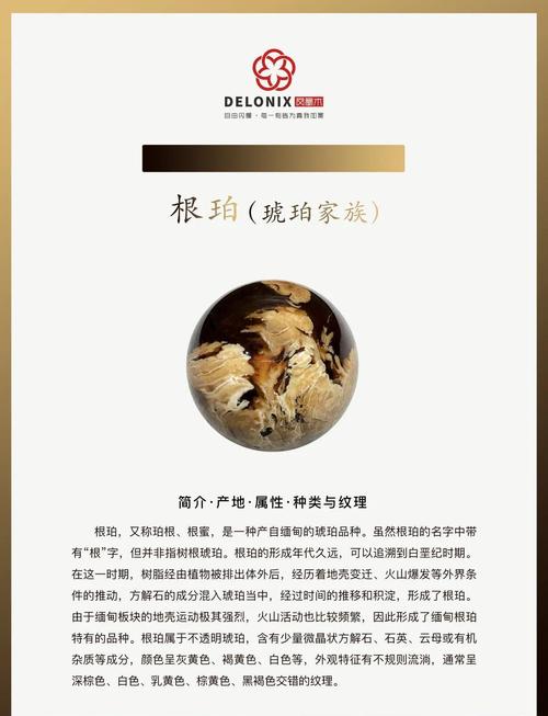 天然去雕饰官网的深度分析与市场前景