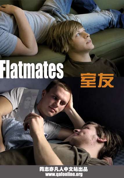 深入解析《室友》官方正式版下载最新版的核心特征与用户体验