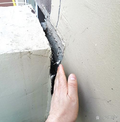 裂谷中的房子：安卓汉化的深度解析与发展趋势