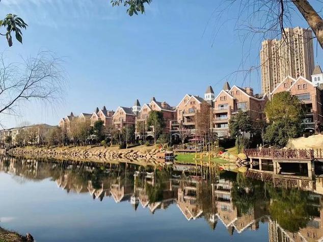 探索保利托农下载地址的多重意义与影响