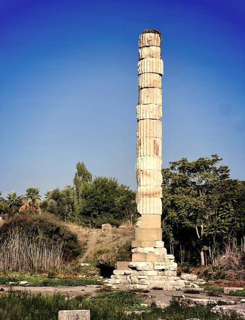 阿尔忒弥斯帕鲁更新地址实用教程