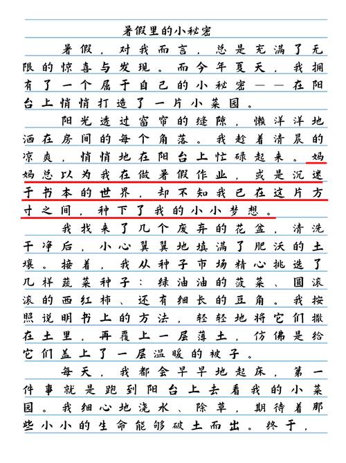 探索“我暑假的秘密回忆”更新地址的深度分析