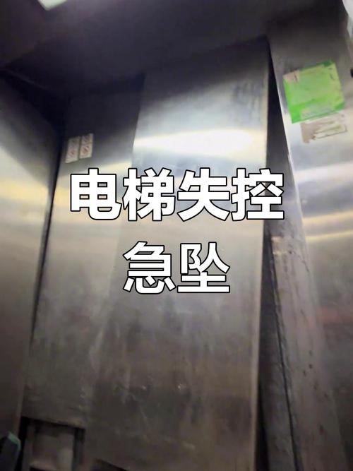 深入分析《电梯里的堕落人妻汉化版》的最新更新内容