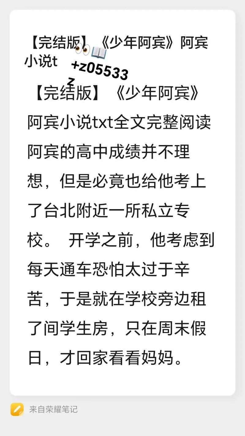 少年阿宾小说最新动态与分析：在现代文化中的影响与意义