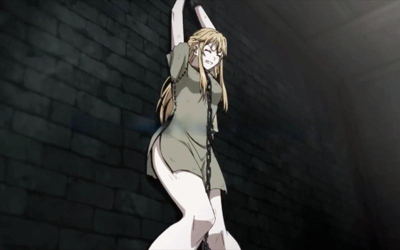 深度解析《魔城的姬骑士》最新版本动态