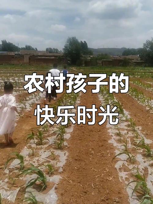 乡村生活的快乐暑假安卓汉化详细教程