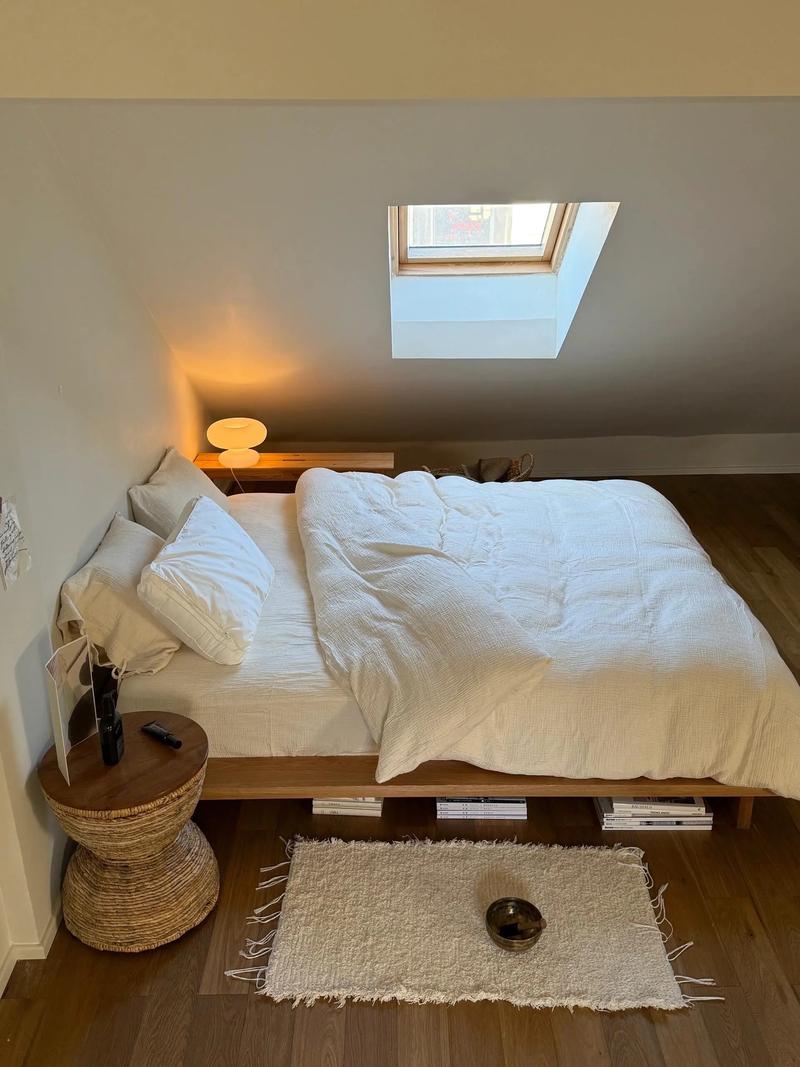 深度解析《阁楼里的睡美人》：绅士游戏中的创新与挑战