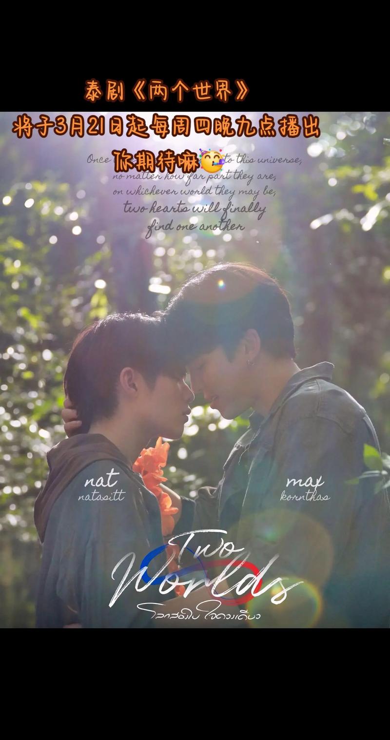 深入解析《两个世界之间》：游戏攻略与策略