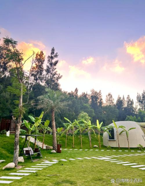 探索“任性旅人的家园安卓”：自我表达与个人成长的新维度