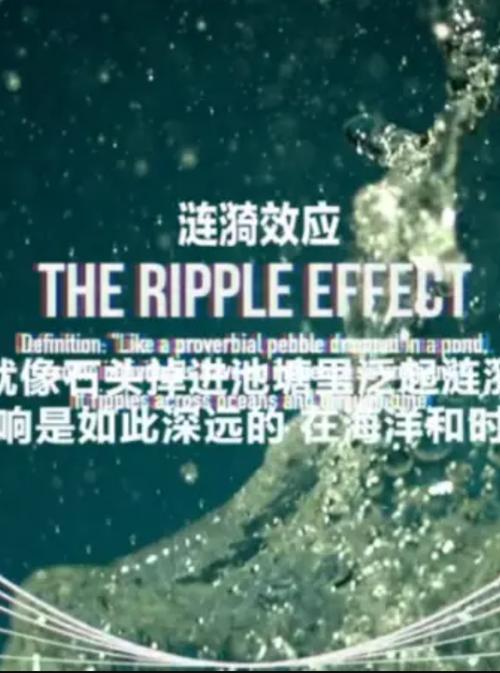 深入分析《涟漪更新日志》：新特性与玩家体验的演变