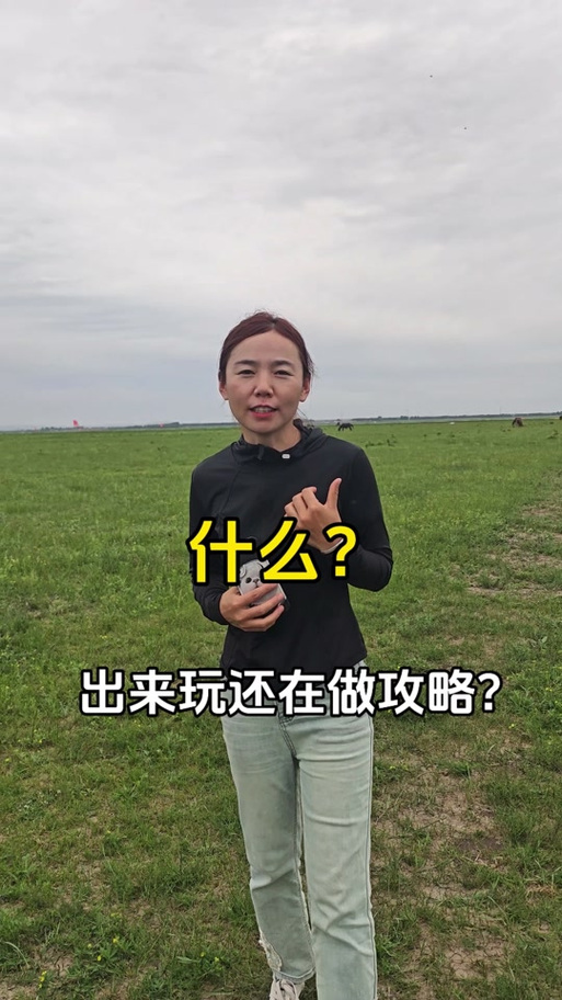 《中途之家》汉化版最新更新内容深度分析