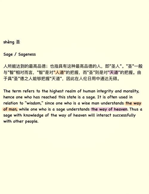 深入分析：如何下载圣骑士莉雅丝