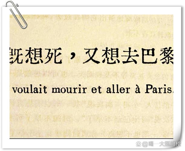 深入探讨《诺莉卡的案件官网》的游戏设计与玩家体验
