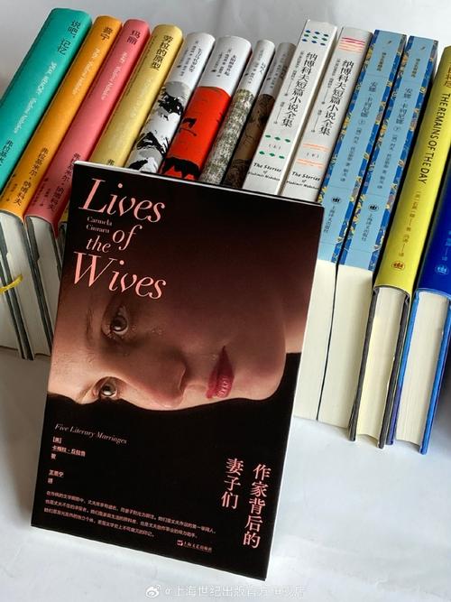 深入探讨《诺莉卡的案件官网》的游戏设计与玩家体验