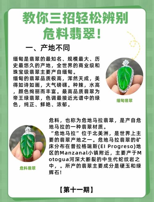 如何高效利用小翠危机重重游戏官网进行游戏攻略