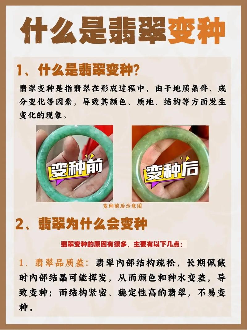 如何高效利用小翠危机重重游戏官网进行游戏攻略